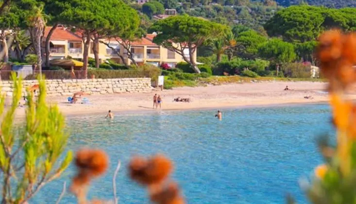 Studio Cabine Neuf 4 Personnes - Bormes Les Mimosas - 300M De La Plage De La Faviere Apartment